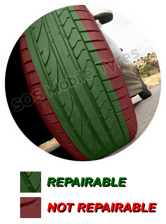 Tyre Repairable Section